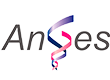 アンジェス株式会社